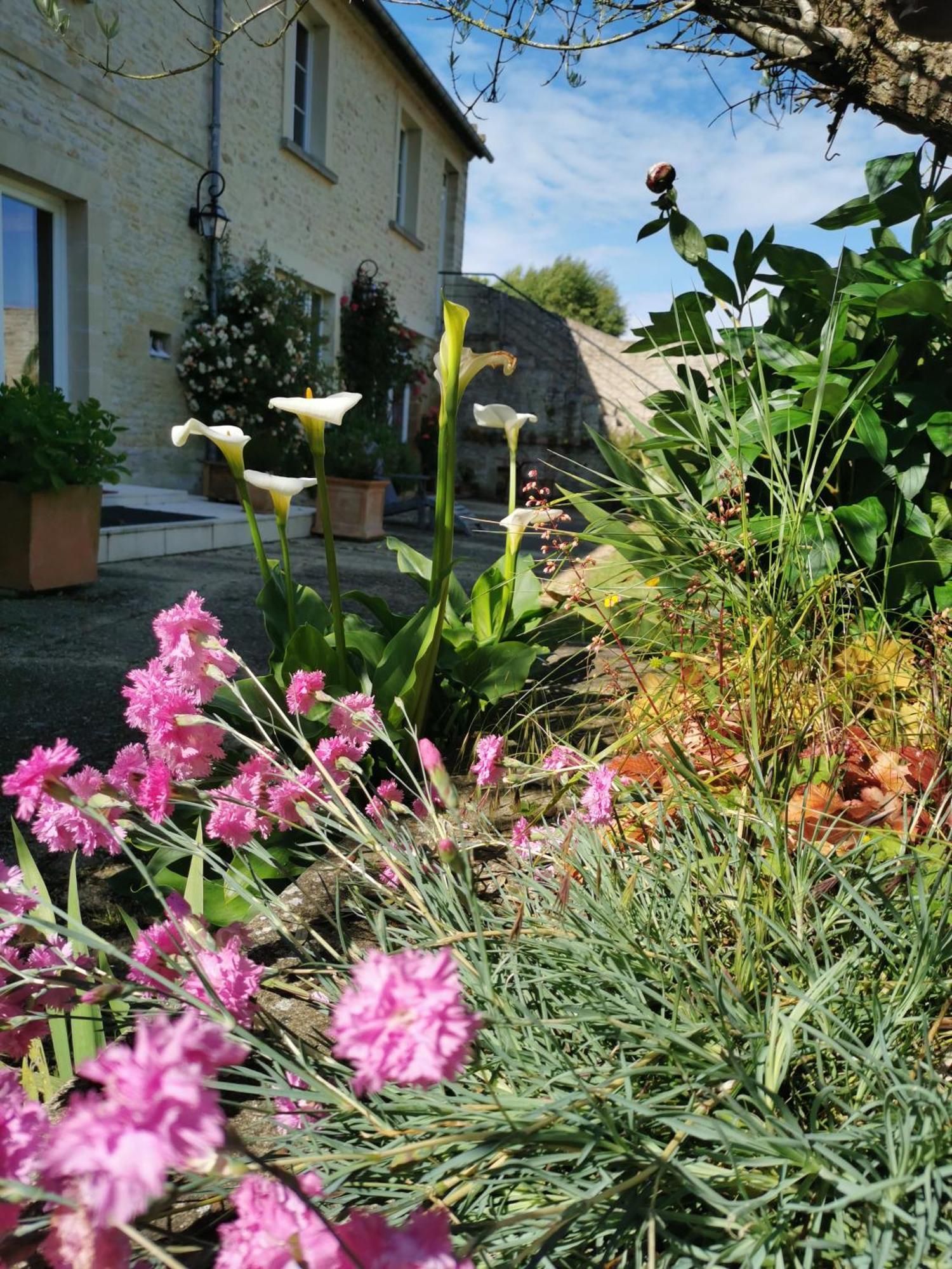 Chambre De L'Iris Sainte-Croix-sur-Mer Extérieur photo