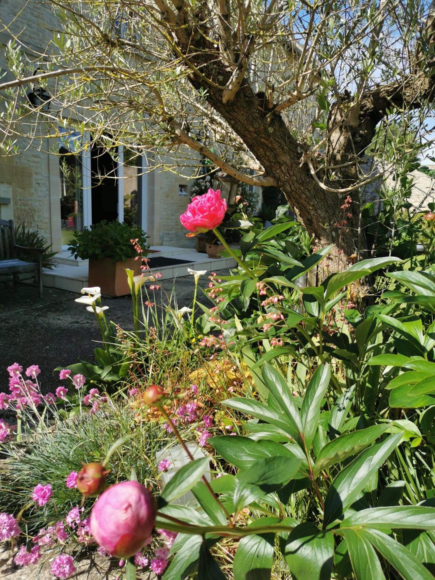 Chambre De L'Iris Sainte-Croix-sur-Mer Extérieur photo